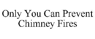 ONLY YOU CAN PREVENT CHIMNEY FIRES