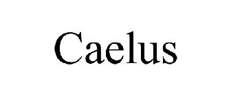 CAELUS