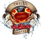 TWELVE XII CANCER PAUL MICHALSKI