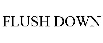 FLUSH DOWN