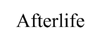 AFTERLIFE