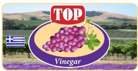 TOP VINEGAR