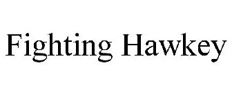 FIGHTING HAWKEY