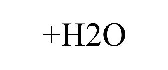 +H2O