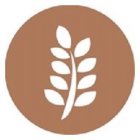 Image Trademark