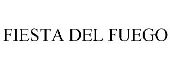 FIESTA DEL FUEGO