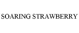 SOARING STRAWBERRY