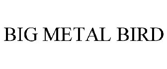 BIG METAL BIRD