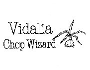 VIDALIA CHOP WIZARD