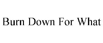 BURN DOWN FOR WHAT