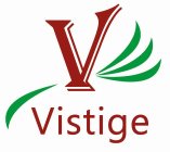 V VISTIGE