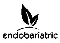 ENDOBARIATRIC