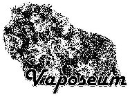 VAPOSEUM
