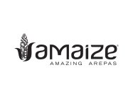 AMAIZE AMAZING AREPAS