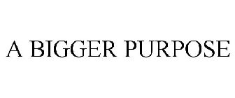 A BIGGER PURPOSE