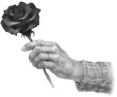 Image Trademark