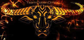 TEAM COBAN ONLINE