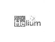 NORTH AMERICAN HELIUM
