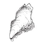 Image Trademark