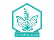 CARYOPHYLLENE