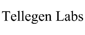 TELLEGEN LABS