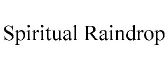 SPIRITUAL RAINDROP
