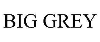 BIG GREY