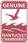 GENUINE NANTUCKET CRANBERRIES