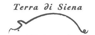 TERRA DI SIENA