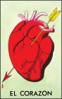 EL CORAZON