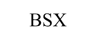 BSX