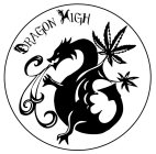 DRAGON HIGH