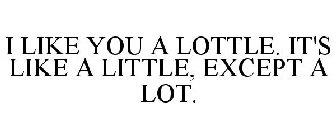 I LIKE YOU A LOTTLE. IT'S LIKE A LITTLE, EXCEPT A LOT.