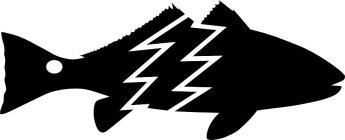 Image Trademark