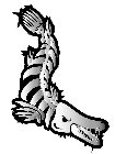 Image Trademark