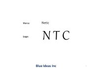 LOGO: MARCA: NETIC NTC BLUE IDEAS INC