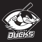 JUNIOR DUCKS