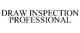 DRAW INSPECTION PROFESSIONAL