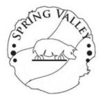 SPRING VALLEY