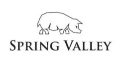 SPRING VALLEY