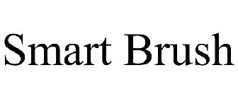 SMART BRUSH