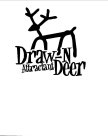 DRAW-N DEER ATTRACTANT