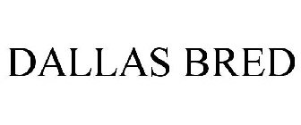 DALLAS BRED