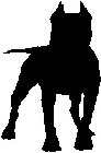 Image Trademark