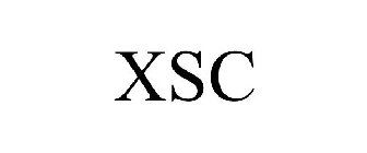 XCS