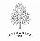 PERGAMINO