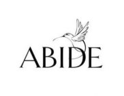 ABIDE