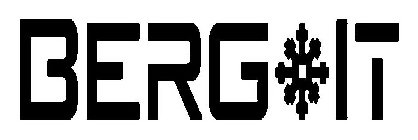 BERG IT