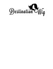 DESTINATION WIG