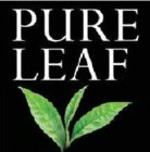 PURE LEAF